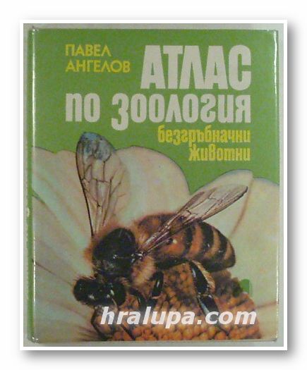 АТЛАС ПО ЗООЛОГИЯ - БЕЗГРЪБНАЧНИ ЖИВОТНИ, ПАВЕЛ АНГЕЛОВ, София 1994 г.