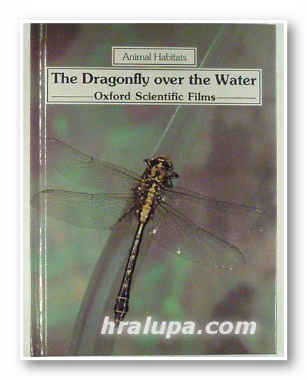 THE DRAGONFLY OVER THE WATER - OXFORD SCINTIFIC FILMS, Text by CHRISTOPHER O'TOOLE, Milwaukee 1988 г.