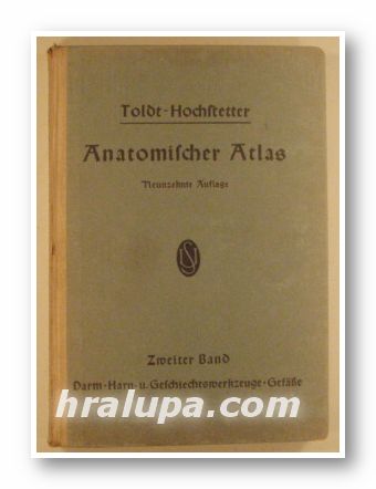 ANATOMISCHER ATLAS, Prof. Dr. FERDINAND HOCHSTETTER, Zweiter band, Wien 1946