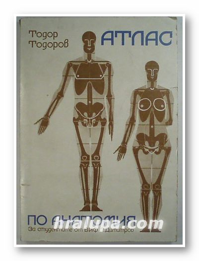 АТЛАС ПО АНАТОМИЯ ЗА СТУДЕНТИТЕ ОТ ВИФ, ТОДОР ТОДОРОВ, София 1978 г.