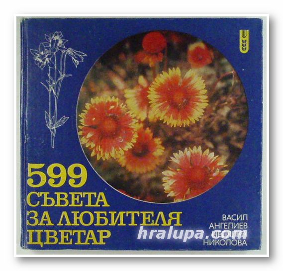 599 СЪВЕТА ЗА ЛЮБИТЕЛЯ ЦВЕТАР, ПРОФ. ВАСИЛ АНГЕЛИЕВ, ДОЦ. НЕДЯЛКА НИКОЛОВА, София 1981 г.