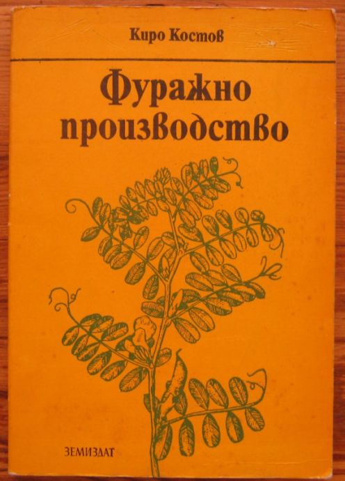 ФУРАЖНО ПРОИЗВОДСТВО, КИРО КОСТОВ, 1981