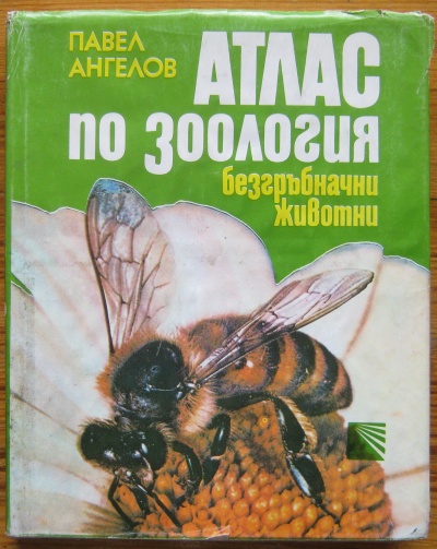 АТЛАС ПО ЗООЛОГИЯ. БЕЗГРЪБНАЧНИ ЖИВОТНИ, ПАВЕЛ АНГЕЛОВ, 1982