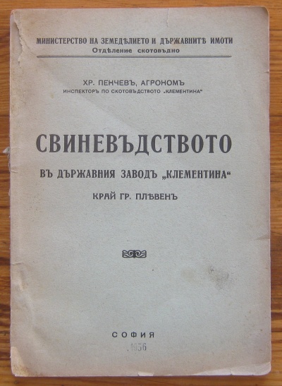 СВИНЕВЪДСТВО В ДЪРЖАВНИЯ ЗАВОД КЛЕМЕНТИНА КРАЙ ГР. ПЛЕВЕН, ХР. ПЕНЧЕВ, 1936