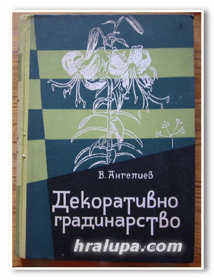 ДЕКОРАТИВНО ГРАДИНАРСТВО, В. Г. АНГЕЛИЕВ, 1960 ГОДИНА