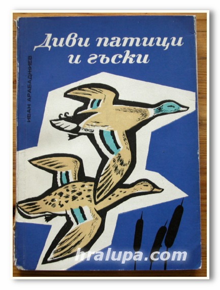 ДИВИ ПАТИЦИ И ГЪСКИ, ИВАН АРАБАДЖИЕВ, 1965 ГОДИНА