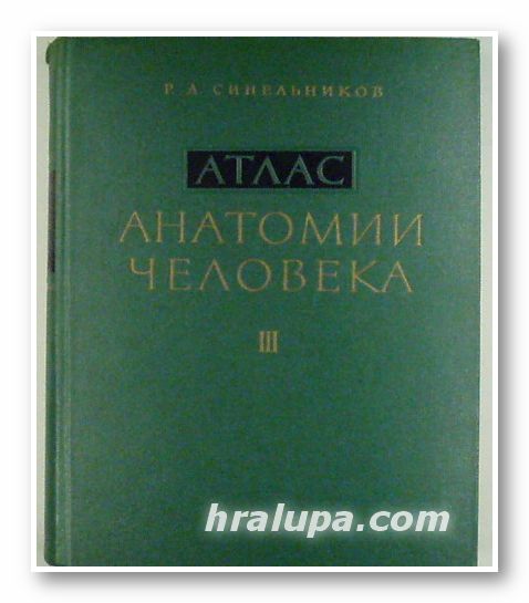 АТЛАС АНАТОМИИ ЧЕЛОВЕКА, Р. Д. СИНЕЛНИКОВ, том ІІІ, Москва 1963 г.