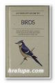 AN INSTANT GUIDE TO BIRDS, MIKE LAMBERT and ALAN PEARSON, New York 1985