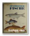 SUSSWASSERFISCHE, Texte von JURAJ HOLCIK-JOZEF MIHALIK, Illustracionen JIRI MALY, Prag 1968