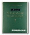 АТЛАС АНАТОМИИ ЧЕЛОВЕКА, Р. Д. СИНЕЛНИКОВ, том ІІІ, Москва 1963 г.